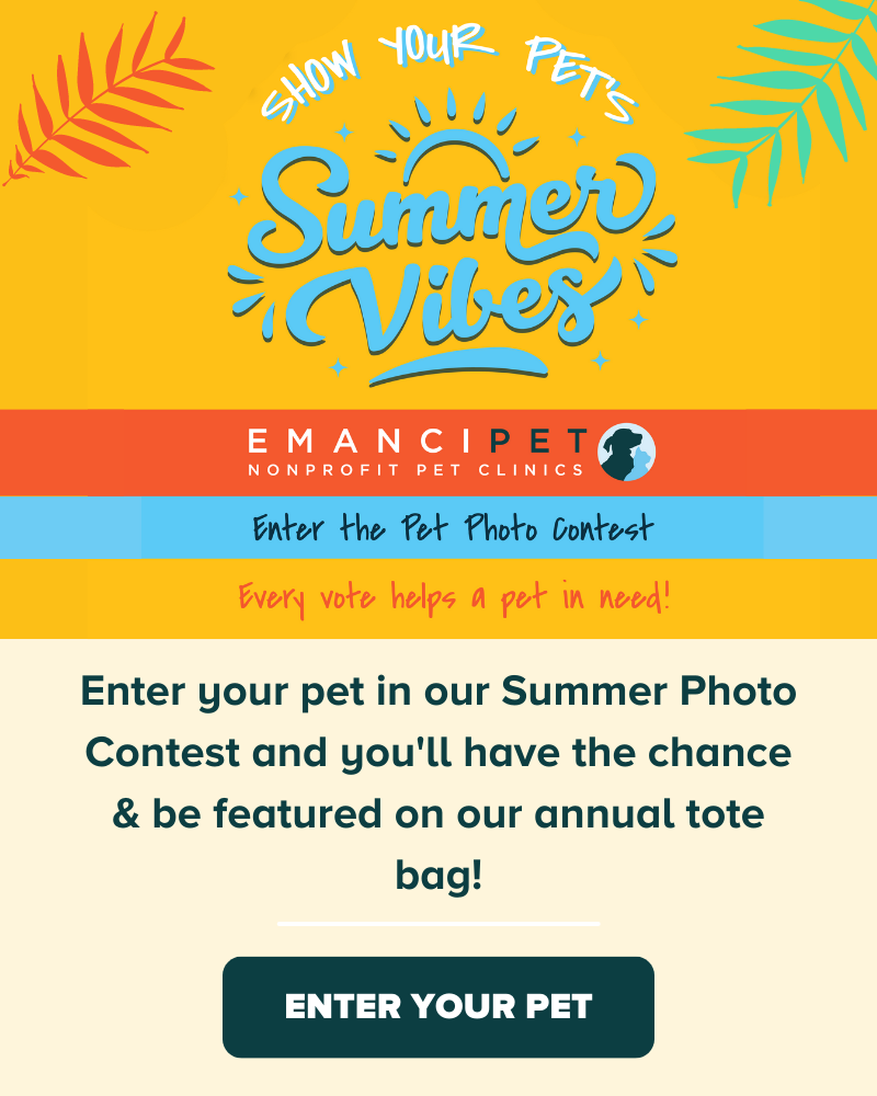 Emancipet Nonprofit Vet Clinics - Summer Photo Contest
