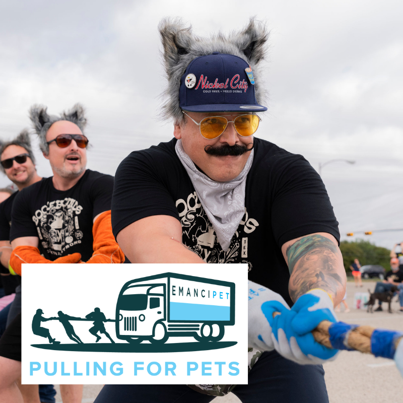 Pulling for Pets Austin