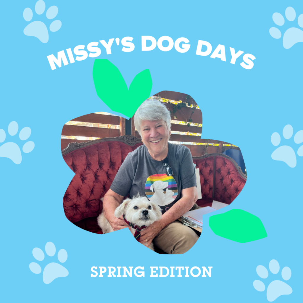 Missy's Dog Days Emancipet Fundraiser Event Graphic