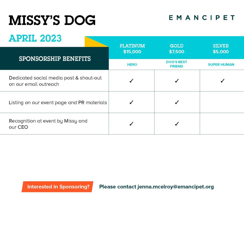 Missy's Day of Giving Sponsorship Benefits Informational Grid