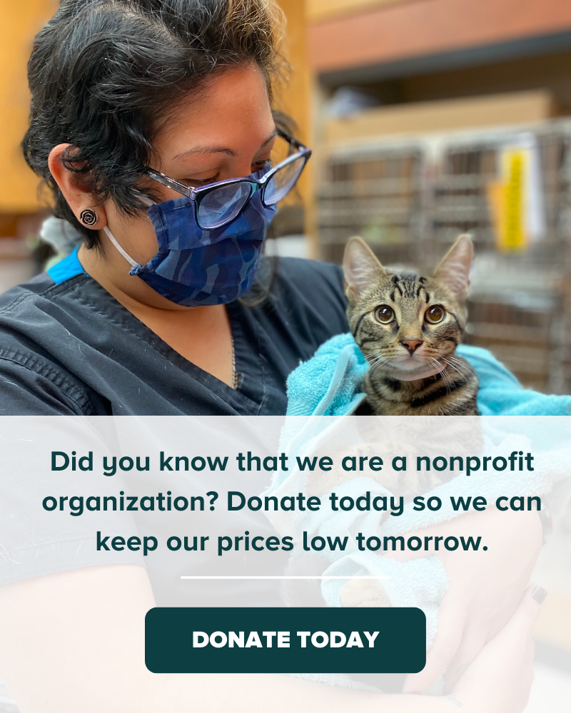 Emancipet Nonprofit Vet Clinics Donate Today