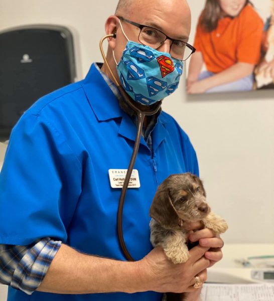 Emancipet Wayside Drive LowCost Vet Clinic Affordable Spay/Neuter