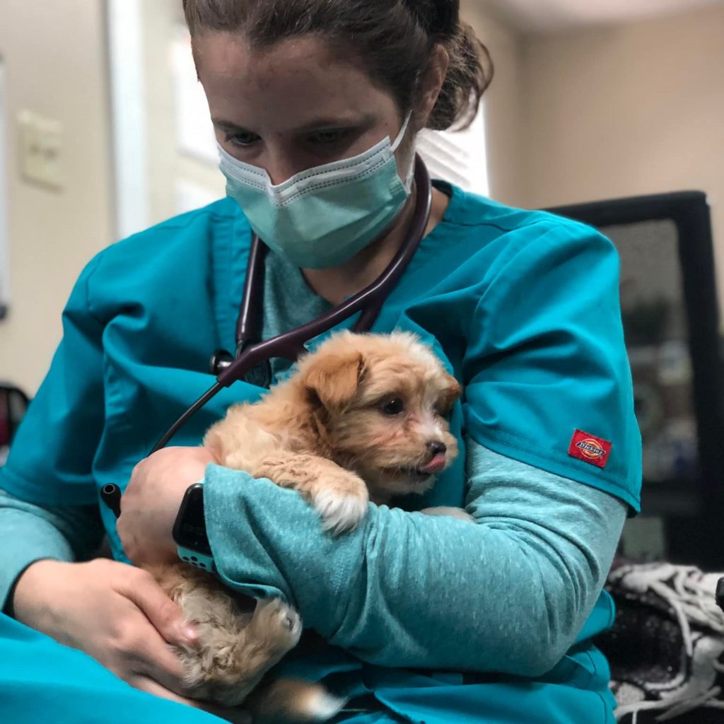 Honor Your Loved Ones Emancipet