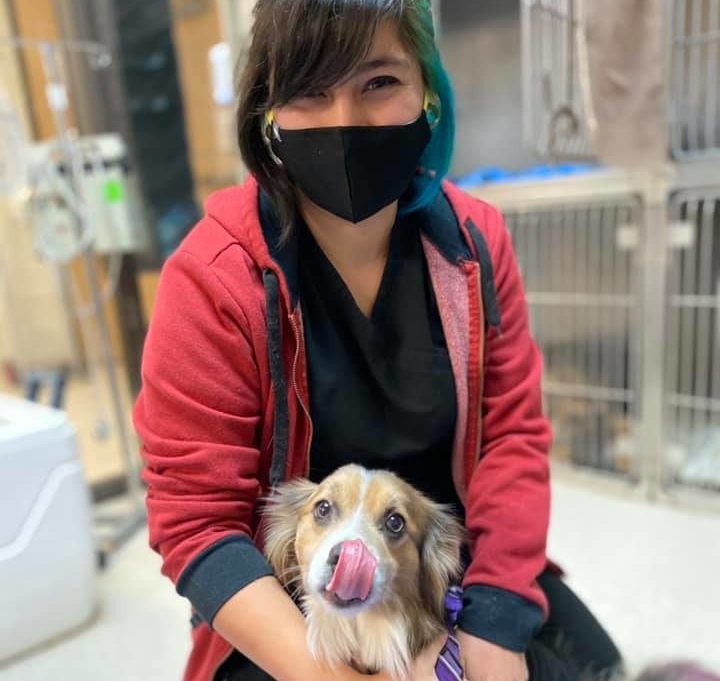 East Austin puppy patient with Vet Tech