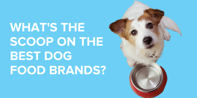 What's the Scoop on the Best Dog Food Brands? - Emancipet