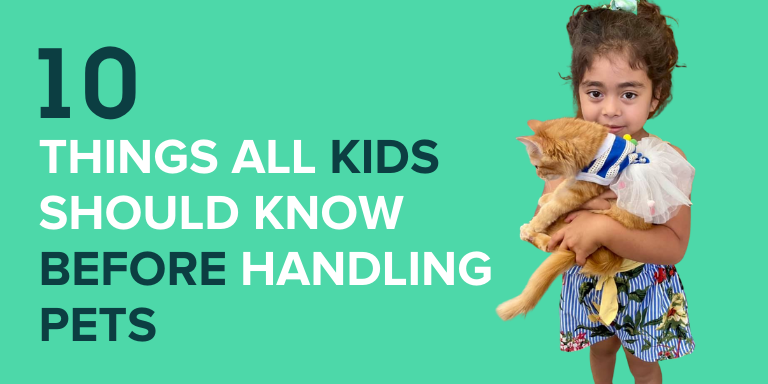 10 Things All Kids Should Know Before Handling Pets