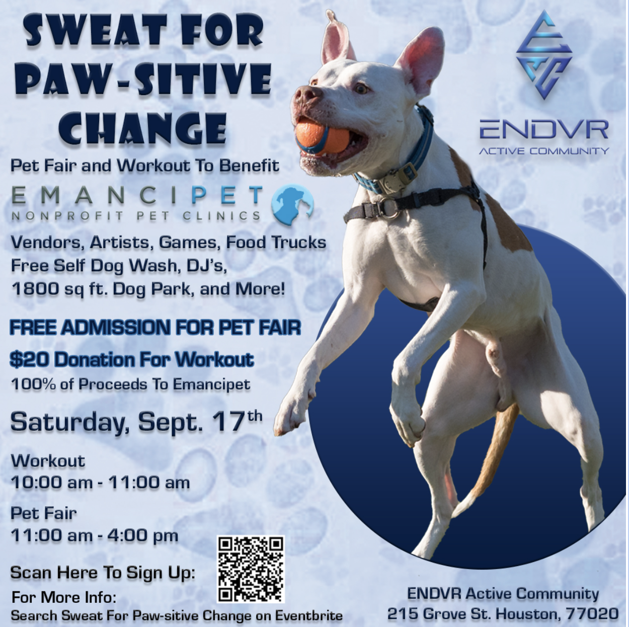 Sweat for Paw-Sitive Change