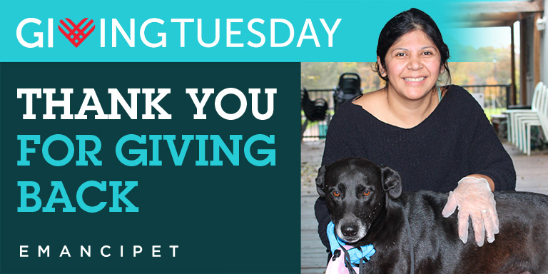 Giving Tuesday Graphic with Client and Patient
