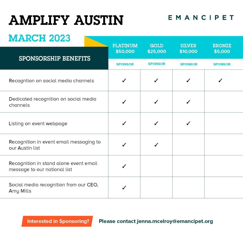 Amplify Austin Sponsorship Benefits Informational Grid