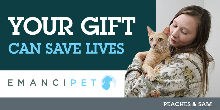Your Gift Can Save Lives - Client with their cat Peaches