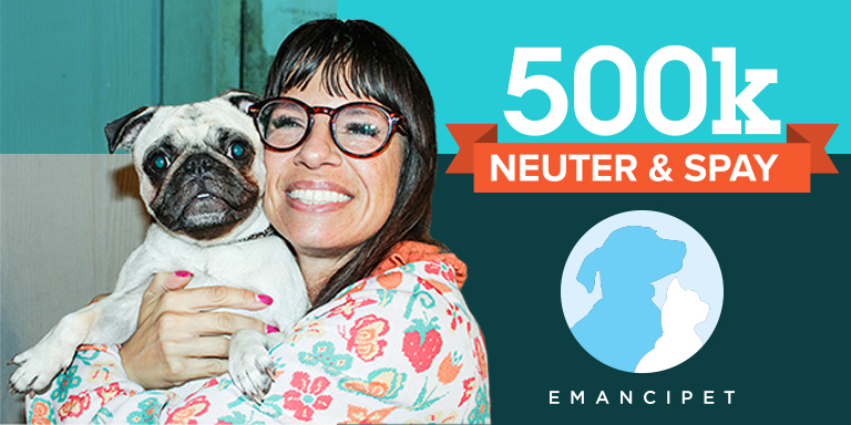 Emancipet Nonprofit Pet Clinics - 500,000 Spay/Neuter Havana Coco