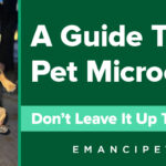 Image of Laura holding her dog with text over it that says 'A Guide to Pet Microchips'