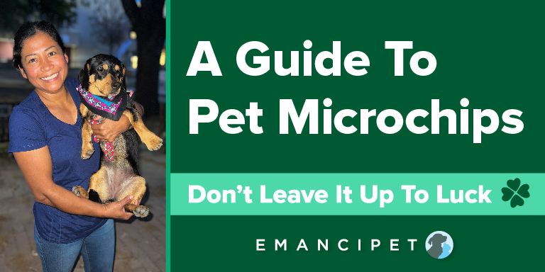 Image of Laura holding her dog with text over it that says 'A Guide to Pet Microchips'