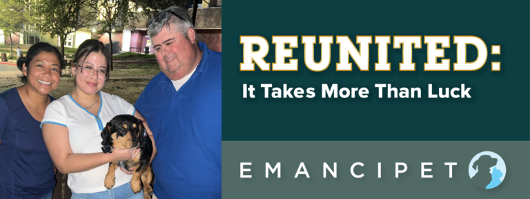 Reunited: It Takes More Than Luck blog banner - Emancipet Nonprofit Vet Clinics