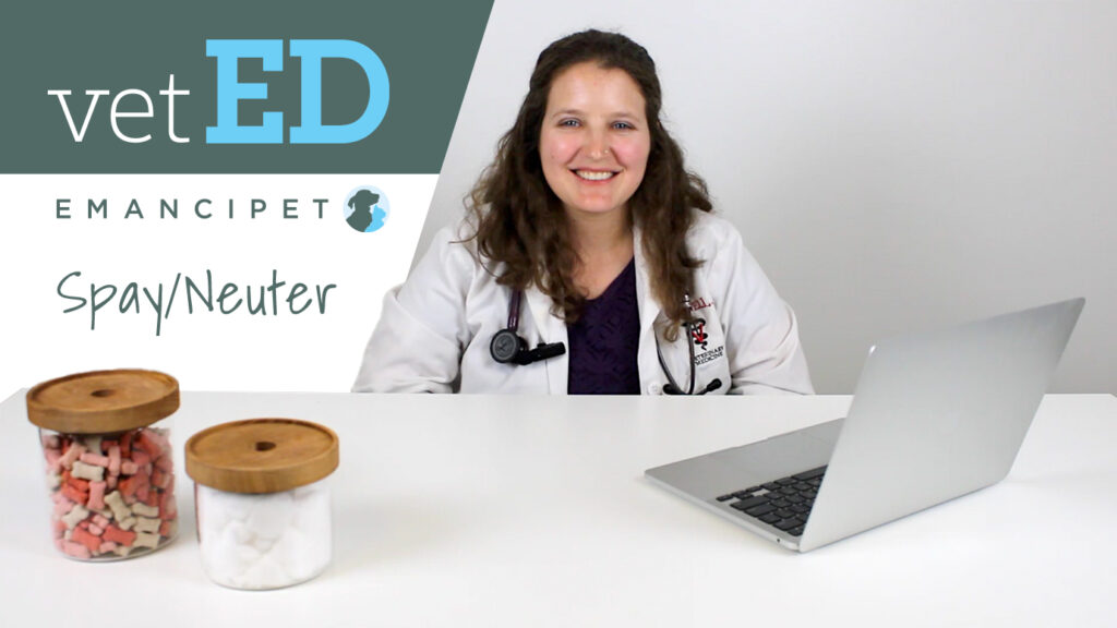 vetED by Emancipet - Spay and Neuter with Dr. Ginny Mulé