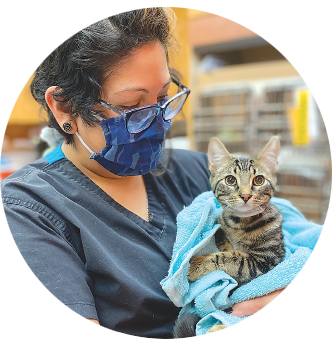 Emancipet Veterinary Technician with Patient