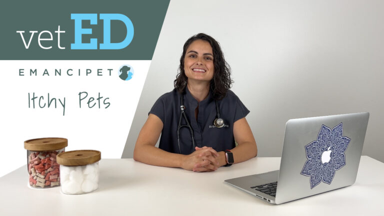 vetED Itchy Pets Thumbnail