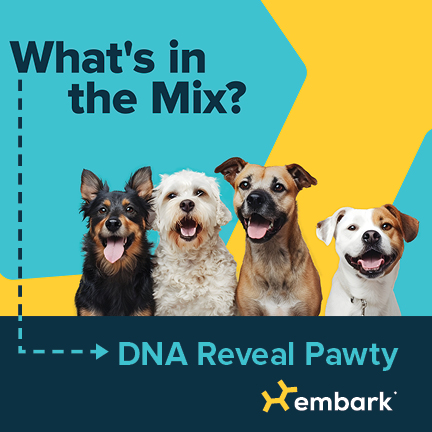 What's in the Mix? DNA Reveal Pawty with Emancipet