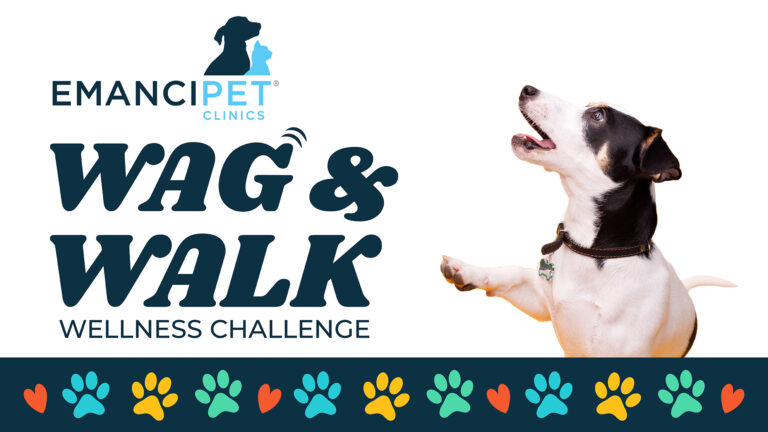 Wag and Walk Wellness Challenge