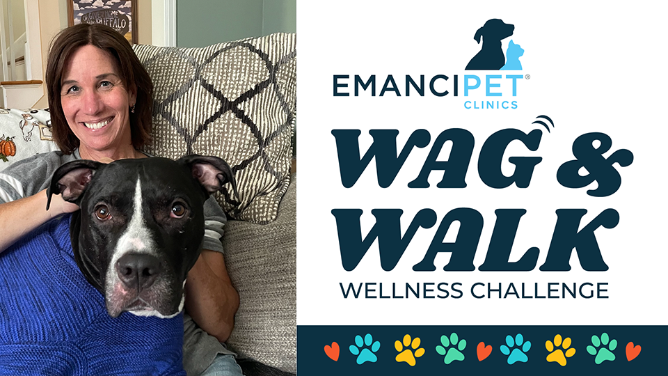 Cheryl Katon, Emancipet's New CEO invites you to join her in the 2025 Wag and Walk Wellness Challenge Fundraiser for the nonprofit.