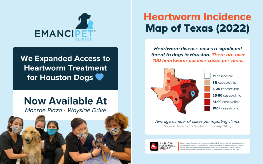 We expanded access to heartworm treatment in Houston. Texas is #3 in the country for heartworm incidence reports.