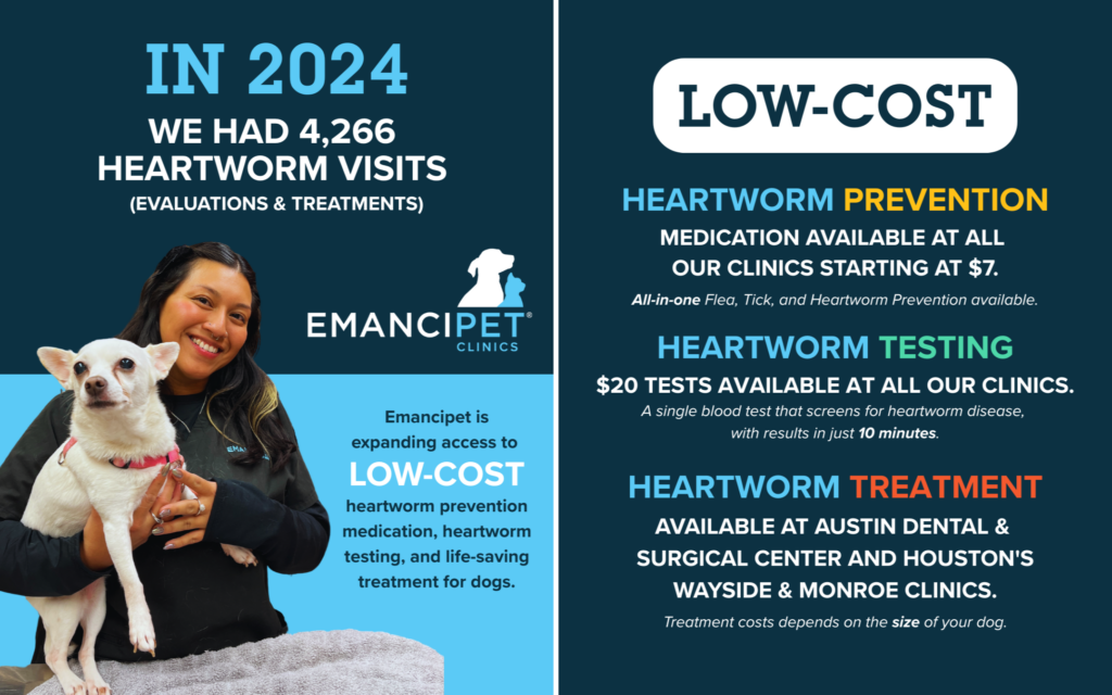 In 2024, we had 4,266 Heartworm Visits. We offer heartworm prevention, testing, and treatment at Emancipet.