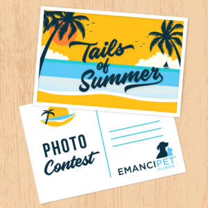 Tails of Summer, Pet Photo Contest