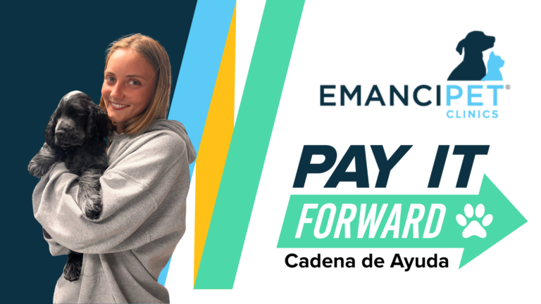 Cadena de Ayuda