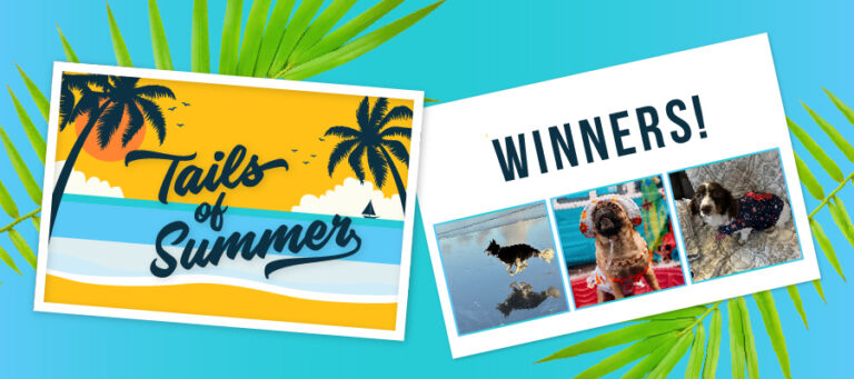 2025 Winners of the Tails of Summer Photo Contest