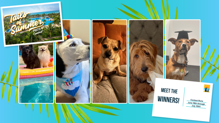 Winners of the Tails of Summer Pet Photo Contest (from left to right): Buttons and Stitch, Nala, Gweg, Lulu, and Fern