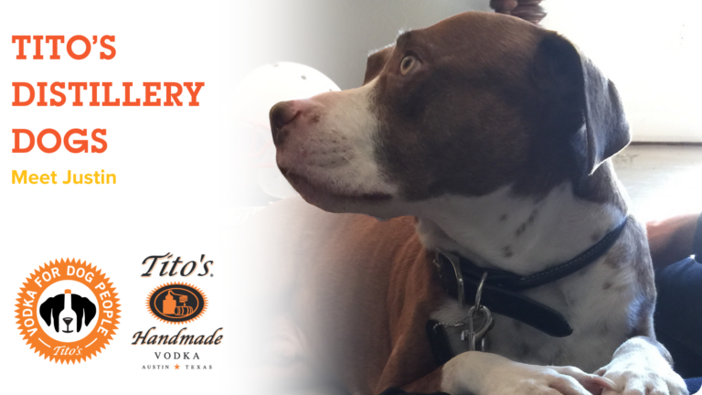 First on the Distillery Dog Series: Justin