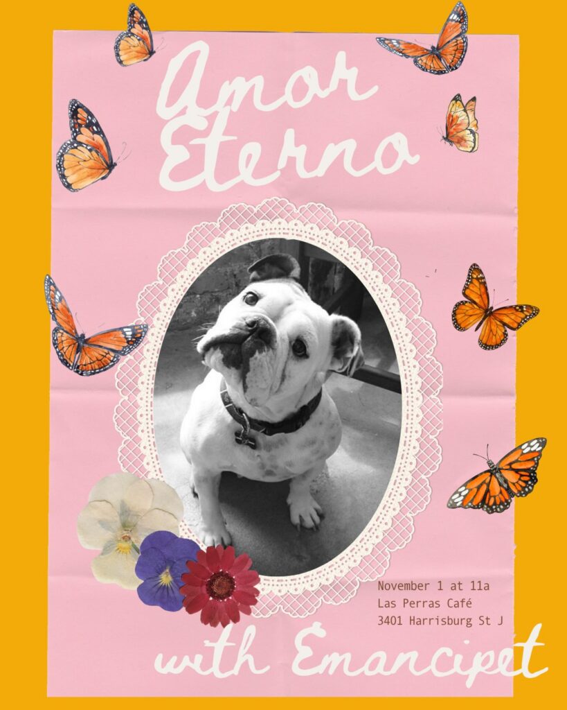 Amor Eterno With Emancipet
November 1 at 11am
Las Perra Café
3401 Harrison St J